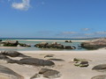 carnota seychelles